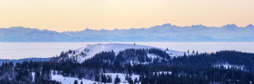 View from the Feldberg over the Herzogenhorn to the Swiss Alps, in front of sunrise,