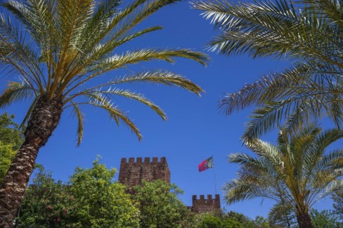 The castle of Silves with Portuguese national flag, building, old, history, palm tree, blue sky,