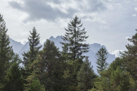 Wetterstein mountains with Zugspitze massif and forest in autumn, hiking trail Kramerplateauweg,
