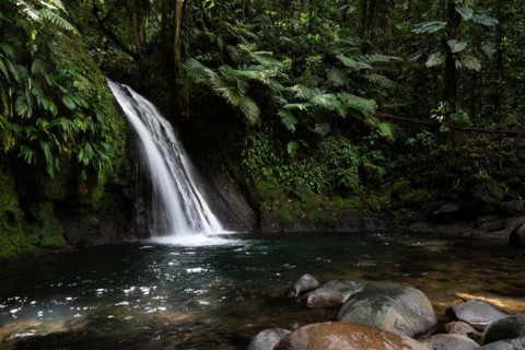 Pure nature, a waterfall with a pool in the forest. The Ecrevisses waterfalls, Cascade aux