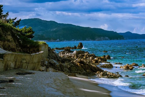 Coastal scenery with rocky shore, pine trees, and dark cloudy sky overhead, in South Korea