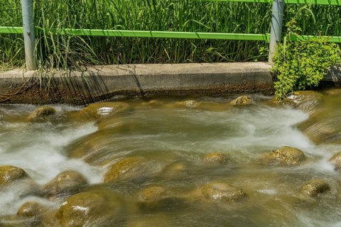 Close-up of a stream with water flowing over rocks, in South Korea