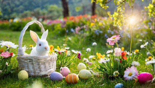 Ai generated, An Easter basket with coloured eggs in a meadow with colourful flowers, in the basket