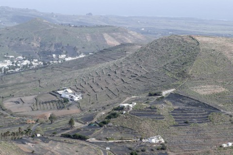 Agriculture terraced landscape seen from the Mirador del Guinate, Haria, Lanzarote, Canary Islands,