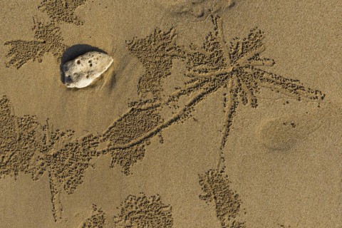 Sandworms form patterns on the beach of Khao Lak, beach, pattern, texture, art, nature art, sea,