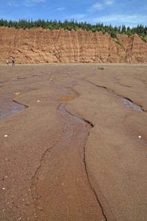 Sandy beach beach at low tide, cliffs, red sandstone, Five Islands Provincial Park, Fundy Bay, Nova