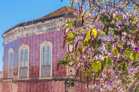 House with azulejo facade, old building, architecture, tiles, craft, traditional, tradition,