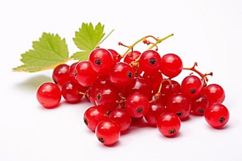 Red currant fruits on white background. KI generiert, generiert AI generated