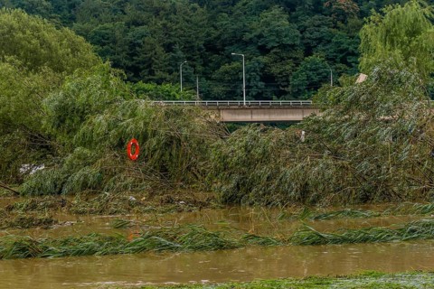 Damaged trees in flooded water with a bridge in the background under an overcast sky, in South