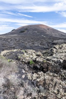 Lava landscape overgrown with lichens and succulents, in the background vineyards protected by dry
