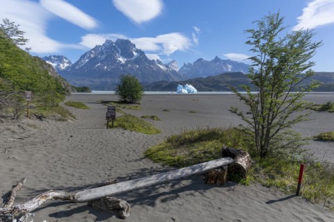 Shore area of Lago Grey, Torres del Paine National Park, Parque Nacional Torres del Paine,