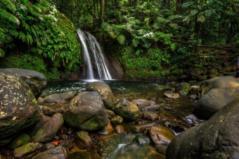 Pure nature, a waterfall with a pool in the forest. The Ecrevisses waterfalls, Cascade aux