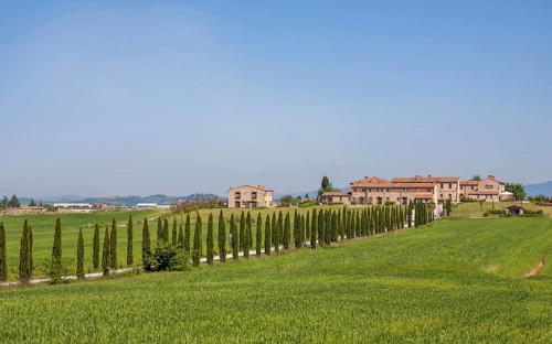 Avenue with cypresses, Borgo Beccanella, near Asciano, Crete Senesi, Tuscany, Italy, Europe
