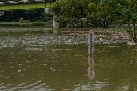 Round traffic signs and trees near bridge submerged in flooded river after torrential monsoon rains