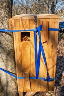 Wooden box as an insect hotel to help beetles on a tree, Sweden, Europe