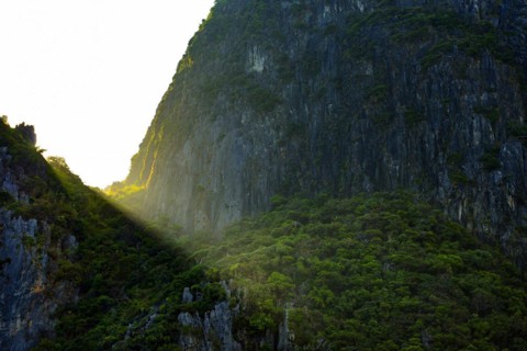 Sunrise at Maya Bay, jungle, sun, sunbeam, forest, nature, natural landscape, limestone rocks,