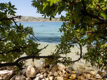 Bathing bay, branches provide shade, island of Rab, Kvarner Gulf Bay, Croatia, Europe