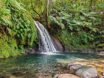 Pure nature, a waterfall with a pool in the forest. The Ecrevisses waterfalls, Cascade aux
