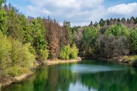 An idyllic forest lake surrounded by lush greenery and a peaceful atmosphere, Ronsdorfer Talsperre,