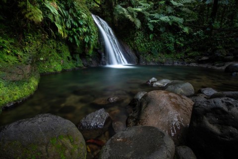 Pure nature, a waterfall with a pool in the forest. The Ecrevisses waterfalls, Cascade aux