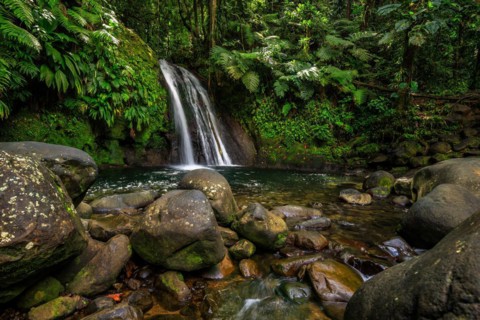 Pure nature, a waterfall with a pool in the forest. The Ecrevisses waterfalls, Cascade aux