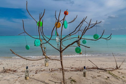 Plastic art on a tree, white sand beach, Tinnakara island, Lakshadweep archipelago, Union territory