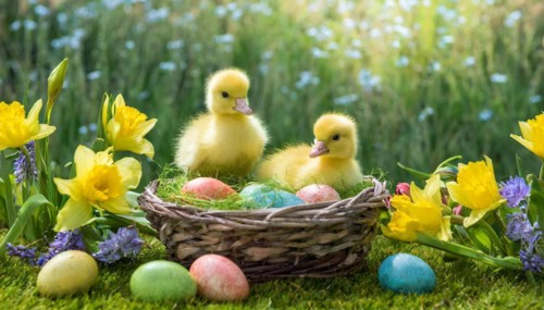 Ai generated, An Easter basket with coloured eggs in a meadow with colourful flowers, two goslings