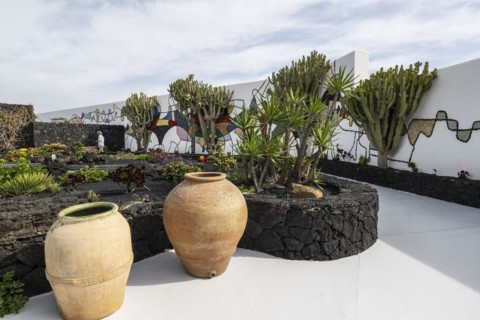 Garden in the inner courtyard of the Fundacion Cesar Manrique, Lanzarote, Canary Islands, Spain,