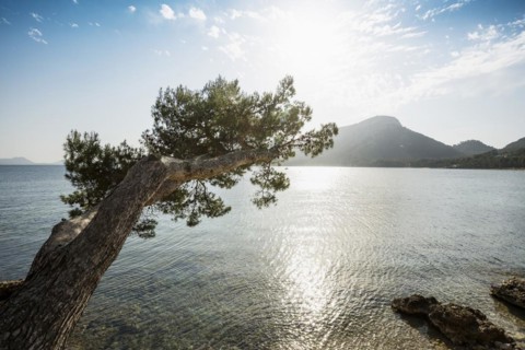 Platja Formentor, Cape Formentor, Port de Pollenca, Serra de Tramuntana, Majorca, Majorca, Balearic