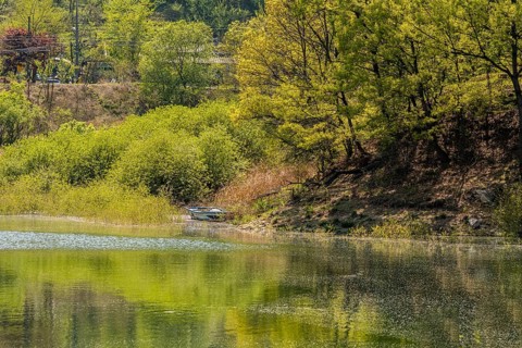 Landscape of river bank with trees and bushes on the riverbank and a small boat next to bank in