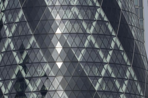 The Gherkin skyscraper building close up of window details with a Herring gull (Larus argentatus)