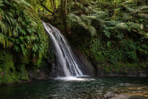 Pure nature, a waterfall with a pool in the forest. The Ecrevisses waterfalls, Cascade aux