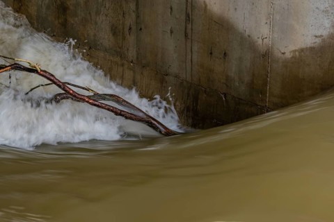 Tree branch held next to dam's support column by surging water through floodgate in Daejeon South