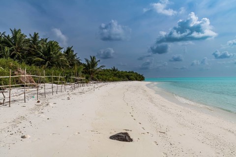 White sand beach, Parli 1 island, Lakshadweep archipelago, Union territory of India