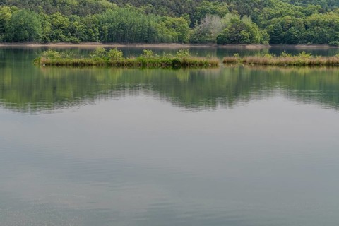 Serene lake with a reflection of the sky and greenery on a cloudy day, in South Korea