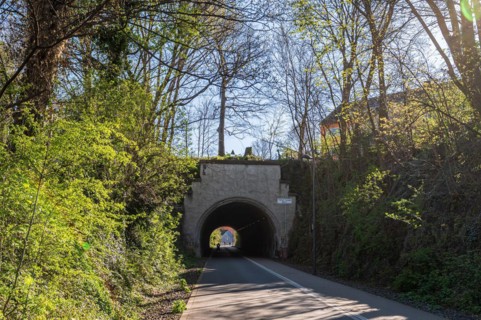 Springtime tunnel view of a road lined with trees, cycle path, Nordbahntrasse, Barmen, Wuppertal,