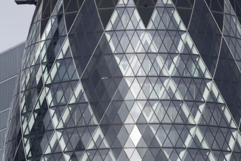 The Gherkin skyscraper building close up of window details with a Herring gull (Larus argentatus)