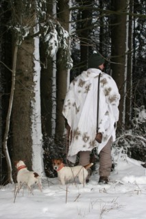 Hunter in winter with snow shirt and hunting dogs Jack Russell Terrier, Allgaeu, Bavaria, Germany,