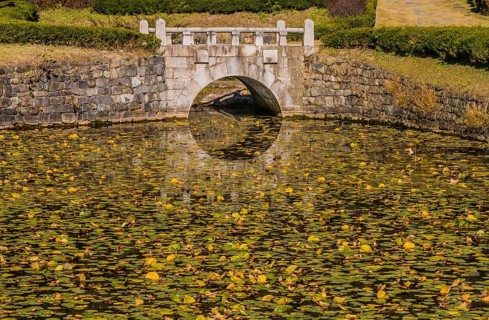 Tranquil pond filled with lily pads and a reflection of an arched stone bridge, in South Korea