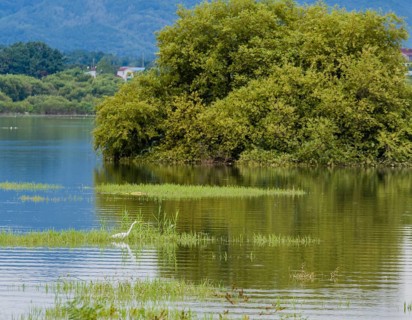 A tranquil scene of a tree-covered islet reflecting in the mirror-like lake surface, in South Korea