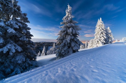 Winter on the Feldberg in front of sunrise, Breisgau-Hochschwarzwald district, Baden-Wuerttemberg,