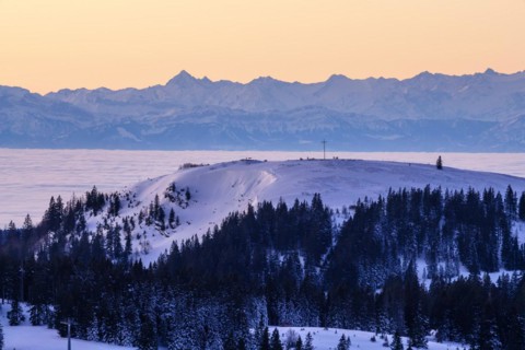 View from the Feldberg over the Herzogenhorn to the Swiss Alps, in front of sunrise,