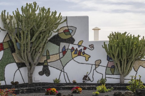 Garden in the inner courtyard of the Fundacion Cesar Manrique, Lanzarote, Canary Islands, Spain,