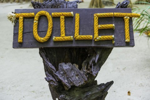 Signpost to toilet, hint, sign, international, language, word, WC, public, bathroom, hygiene, loo,