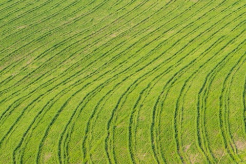 Traces on a cultivated area, Crete Senesi, Province of Siena, Tuscany, Italy, Europe
