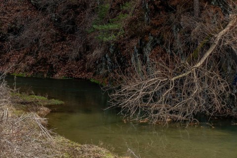 A tranquil creek bordered by dry overhanging branches and earthy tones, in South Korea