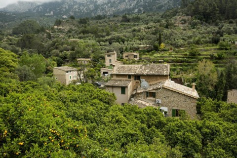 Village in the mountains with citrus plantations, Fornalutx, Soller, Serra de Tramuntana, Majorca,