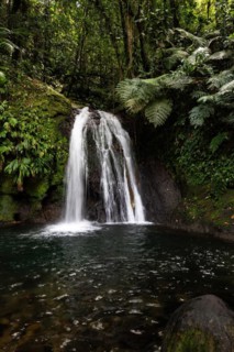 Pure nature, a waterfall with a pool in the forest. The Ecrevisses waterfalls, Cascade aux