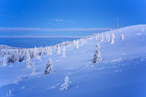 Winter on the Feldberg in front of sunrise, Breisgau-Hochschwarzwald district, Baden-Wuerttemberg,