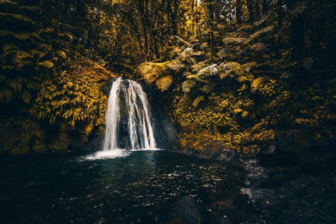 Pure nature, a waterfall with a pool in the forest. The Ecrevisses waterfalls, Cascade aux